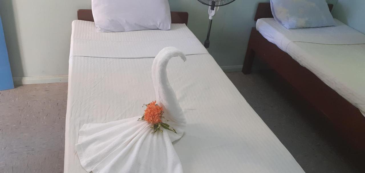 Rekona Lodge ギゾ エクステリア 写真